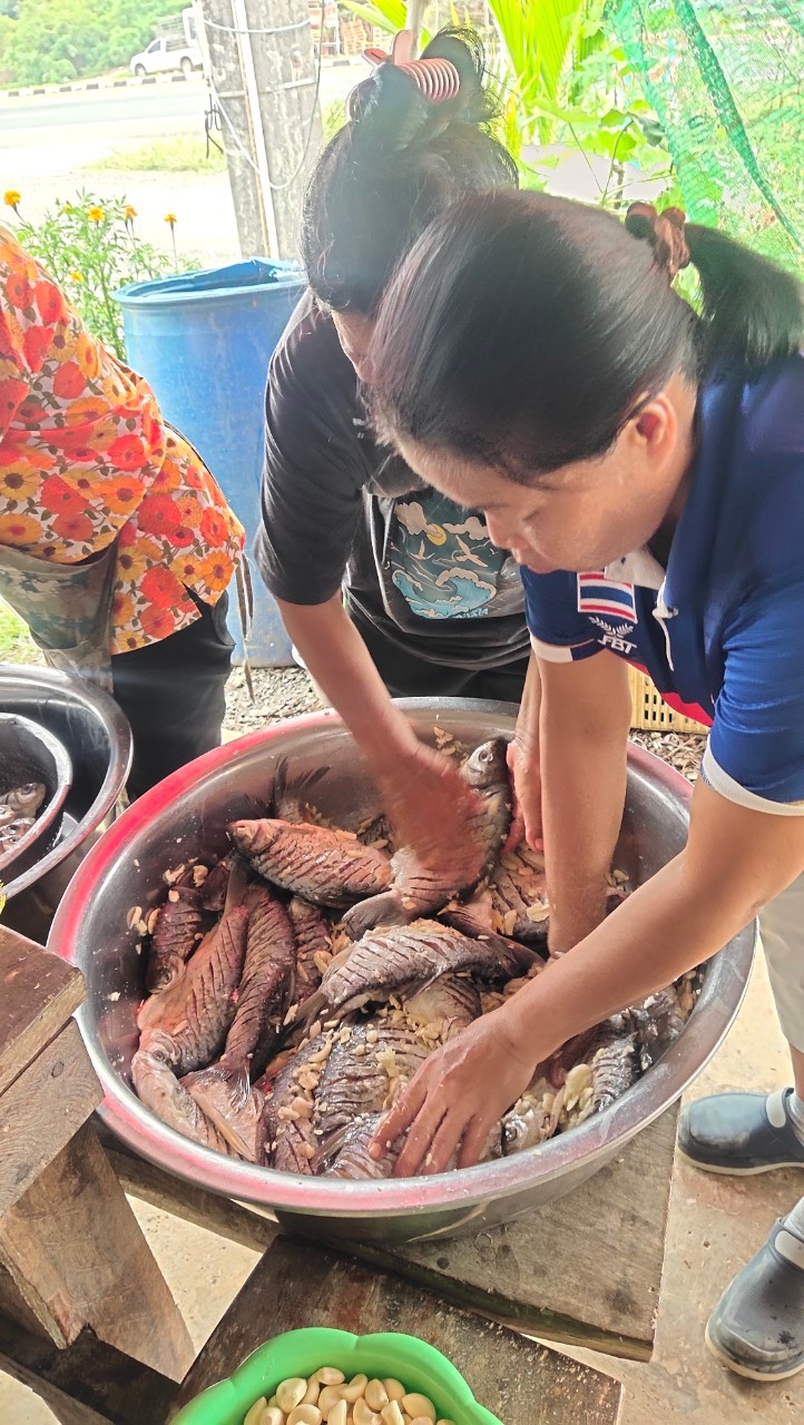 title - อบรมเกษตรกรโครงการส่งเสริมระบบวนเกษตรในเขตปฏิรูปที่ดิน ปีงบประมาณ พ.ศ. 2567 (เกษตรกรขั้นที่ 2) 